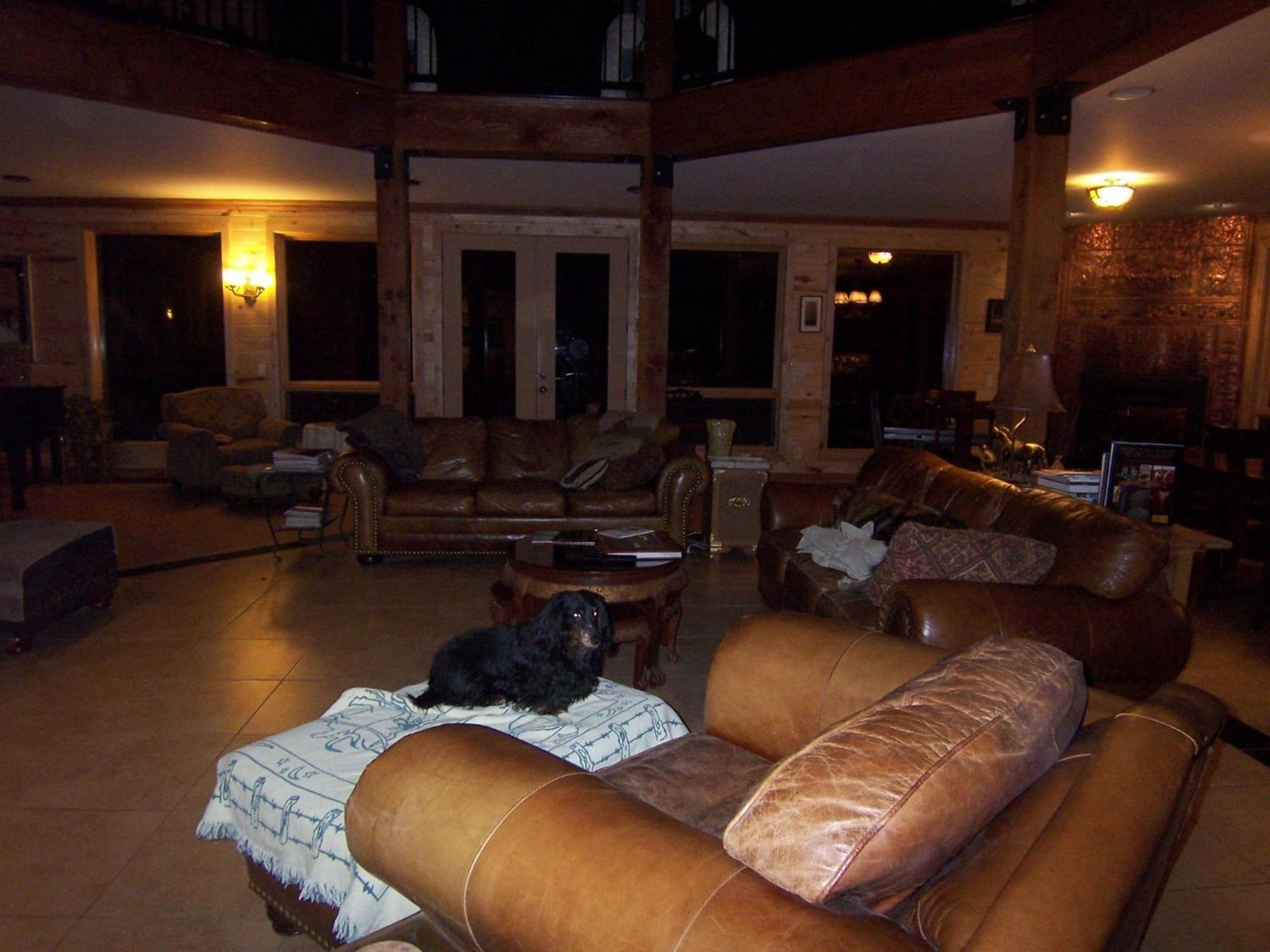 פגוסה ספרינגס Elktrace Bed And Breakfast מראה חיצוני תמונה